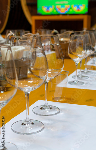 Professional wine tasting, sommelier course, clean empty wine glasses for different wines