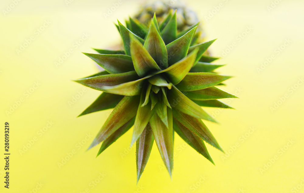 Fototapeta premium Close up fresh pineapple summer fruit on yellow background