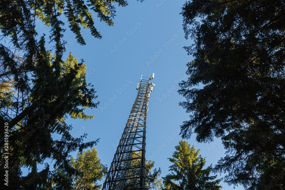 Telephone mast aginst blue sky in coniferous forest