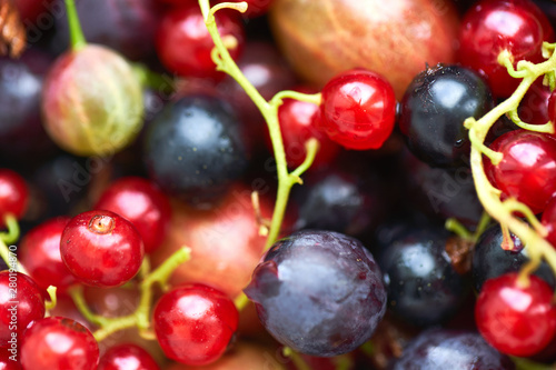 many different bright berries. summer harvest of fresh berries. a set of berries to make a compote. photo