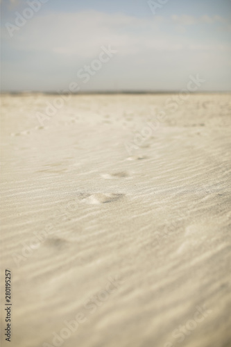 footprints in the sand