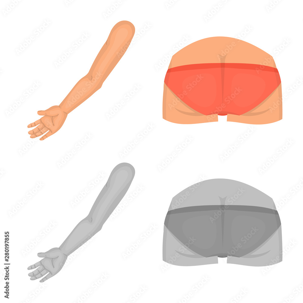 Vector design of body and part sign. Set of body and anatomy stock vector illustration. Vector design of body and part sign. Set of body and anatomy stock vector illustration.