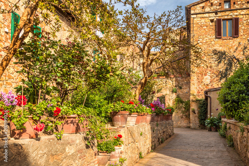 Old houses decorated with flowers in Montepulciano  a town in the province of Siena  in the Val d Orcia in Tuscany  Italy  Europe.