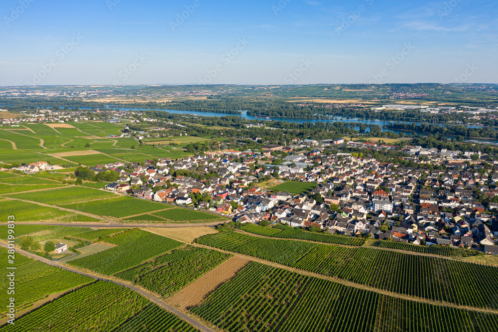 Blick von oben auf Rüdesheim und seine Weinberge