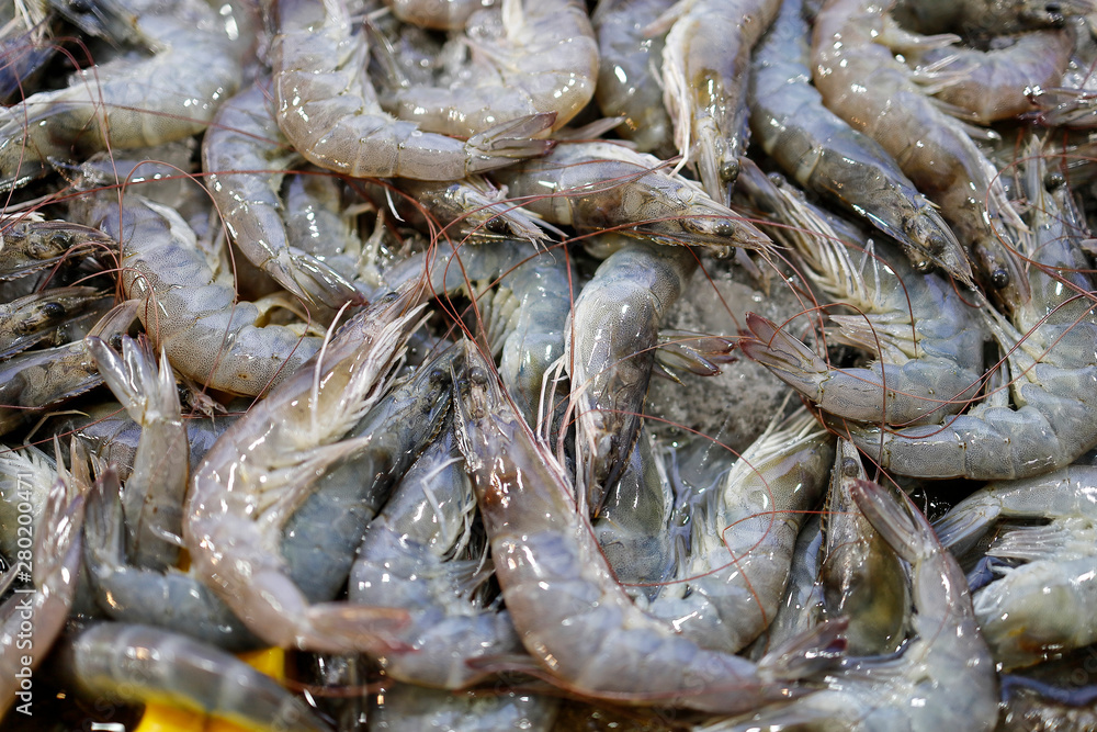Fresh prawn at weekly street market Fresh prawn at weekly street market