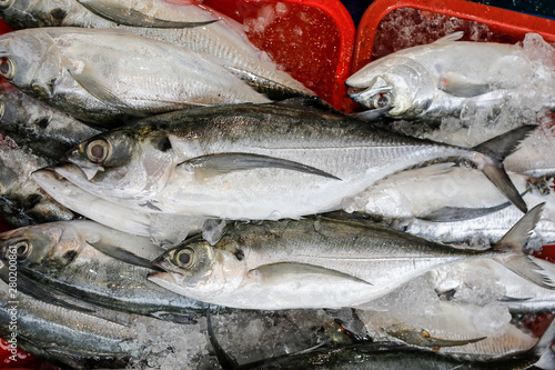 Torpedo hard tail scad fish at weekly street market