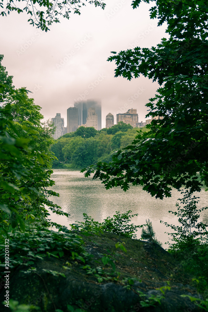 Fototapeta premium view from central park