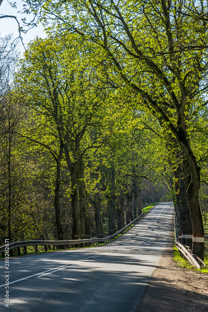 Flourishing road