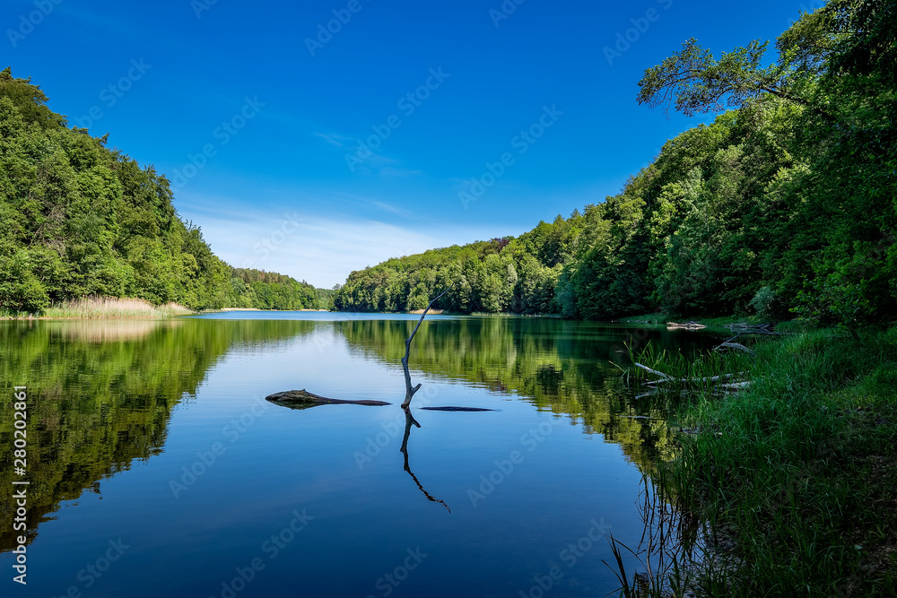 Totholz ragt aus dem Gamensee am 66-Seen-Wanderweg im Landschaftsschutzgebiet Gamengrund