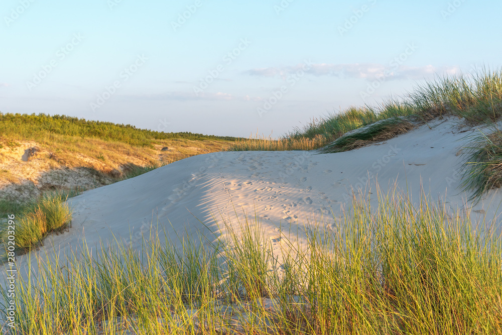 Sand and grass in Baltic sea dunes.