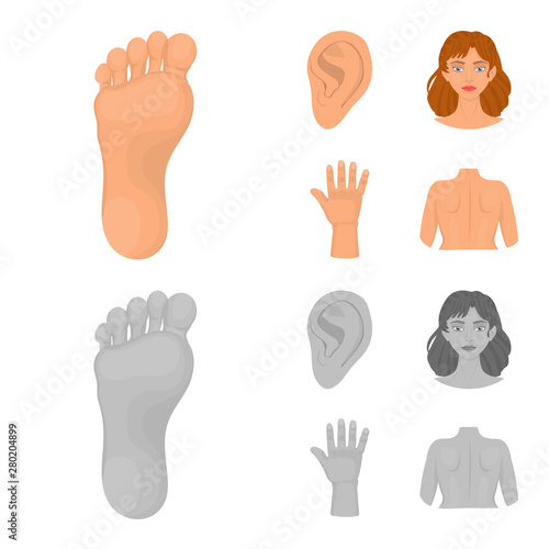 Vector design of body and part icon. Collection of body and anatomy vector icon for stock.