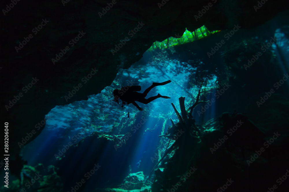 Fototapeta premium Diving in the cenote underwater cave, Quintana roo