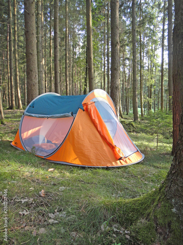 Two seconds camping tent in wold forest background fine art in high quality prints products