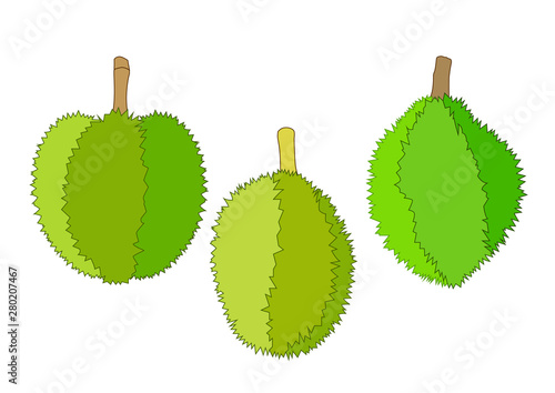 durian fruit colour green on white background  illustration vector 