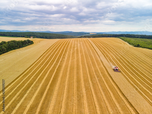 Harvest of the grain and harvesters