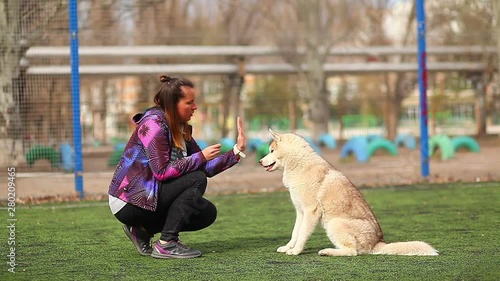 woman training Husky Puppy