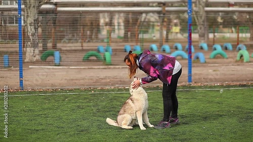 Husky Puppy Training