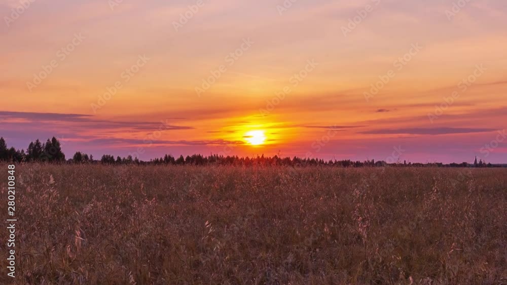 Beautiful scenic sunset with rays of sun shining through clouds in sky Timelapse. Lilac-yellow sunset over the field of wheat. Sun sets over the horizon closeup. Beauty of nature, agriculture, harvest Beautiful scenic sunset with rays of sun shining through clouds in sky Timelapse. Lilac-yellow sunset over the field of wheat. Sun sets over the horizon closeup. Beauty of nature, agriculture, harvest