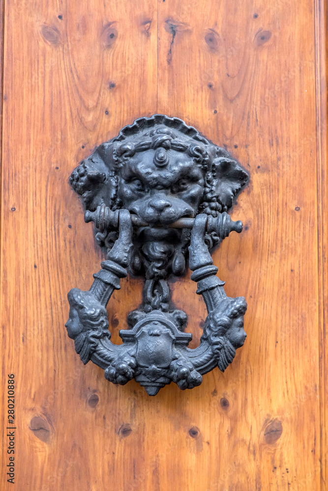 Lion door knocker Lion door knocker