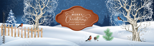 Christmas Night Background