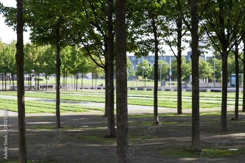 Bäume beim Regierungsviertel in Berlin © sp4764