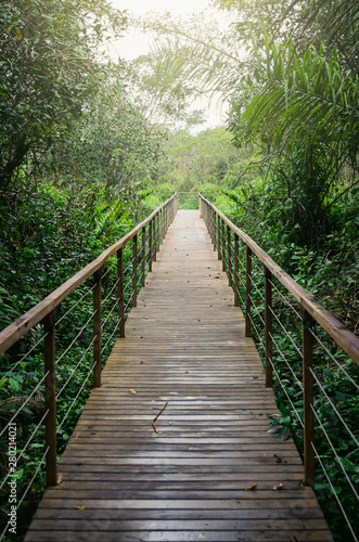 Wooden footpath in the middle of the forest. Straight footpath surrounded by trees and plants at Bonito MS  Brazil. Brazilian ecotourism.