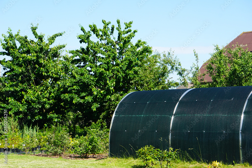 Greenhouse for growing plants in the backyard garden Greenhouse for growing plants in the backyard garden