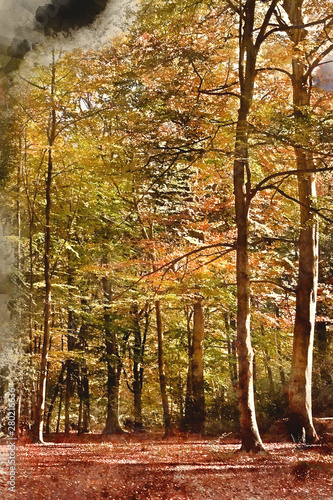 Digital watercolour paintin...