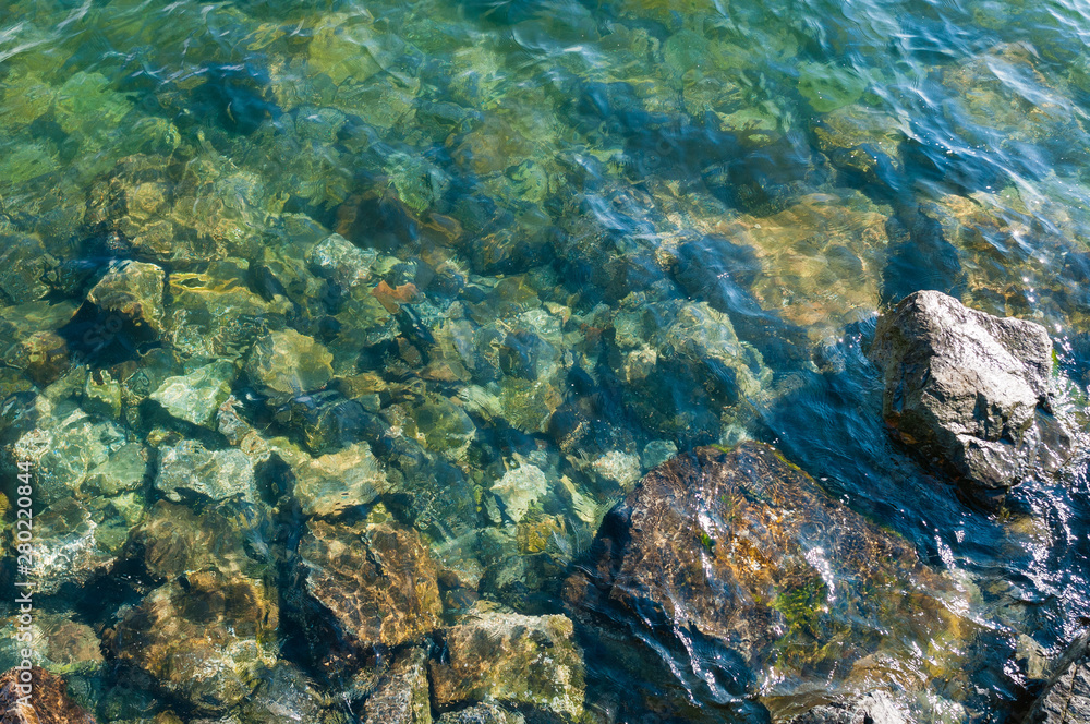 Obraz premium Clear water, puget sound