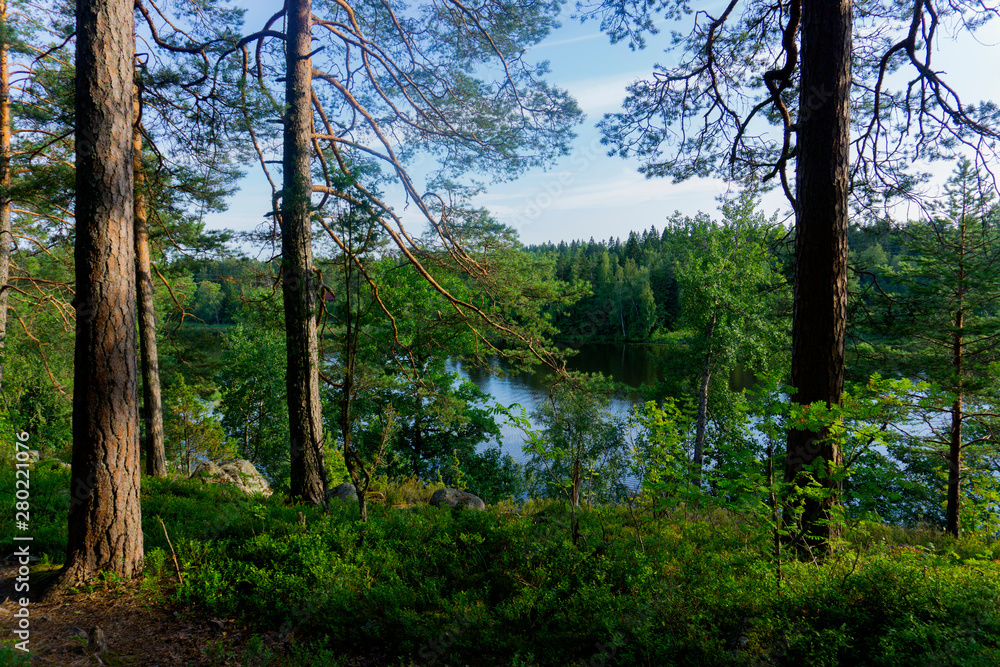 Summer landscape with river, rocks and forest Summer landscape with river, rocks and forest