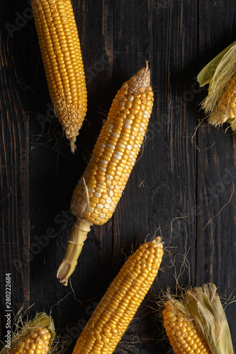 Ripe corn cobs on a black wood background. Top view. Copy space