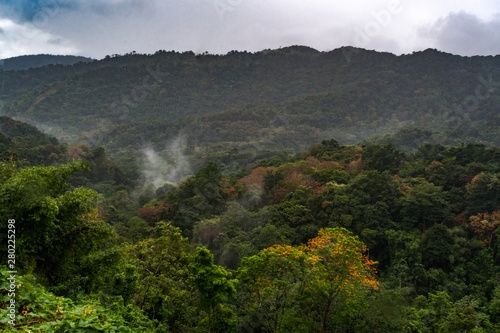The Northern Range mountains, rainforest located on the island of Trinidad in the Caribbean.