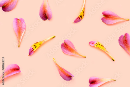Creative summer background, pink and orange petals on pastel pink background. Minimal style