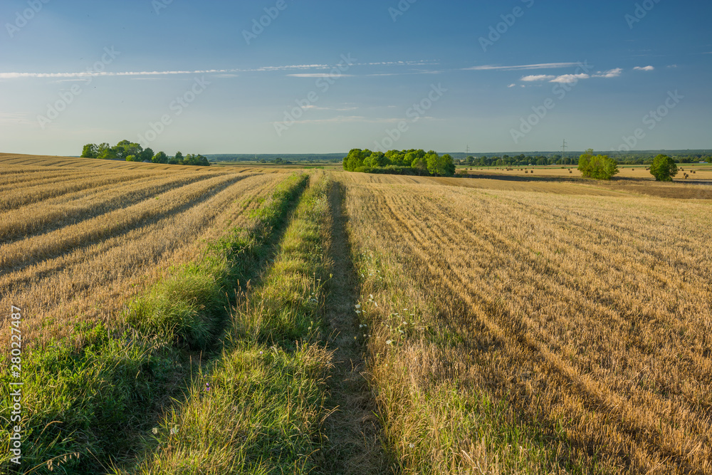Road through harvested fields