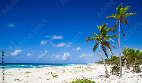 Fototapeta Naklejka Na Ścianę i Meble -  Tropical beach with sea wave on the sand and palm trees