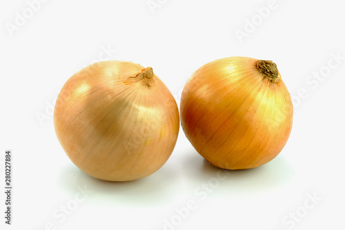  onion bulb on white