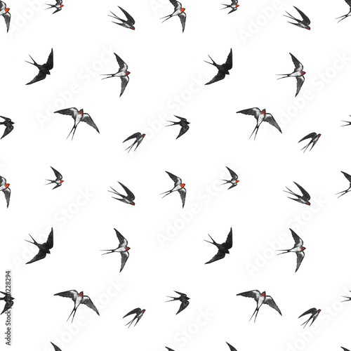 Seamless pattern with black flying swallow birds