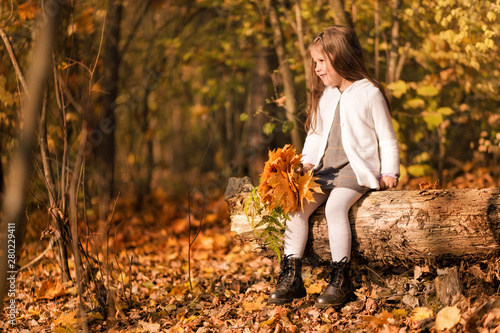 Little girl sitting in the forest with a bouquet of autumn yellow leaves
