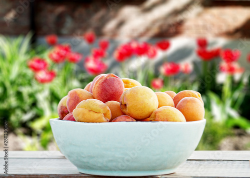 sweet apricots in a bowl on a beautiful background