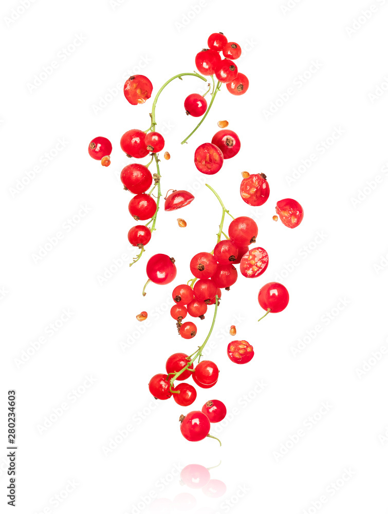 Branches of red currant in the air on a white backgroun Branches of red currant in the air on a white backgroun