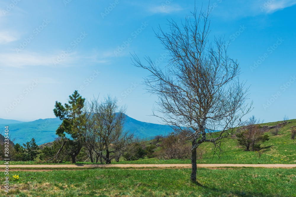 Crimea nature reserve - the road to traveln Crimea nature reserve - the road to traveln