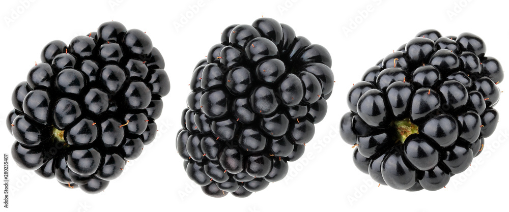 Set of blackberry isolated on white background Set of blackberry isolated on white background