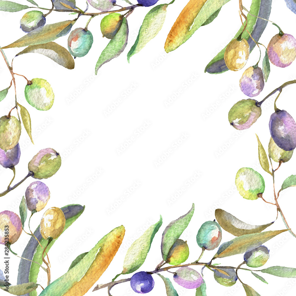 Olive branch with black and green fruit. Watercolor background illustration set. Frame border ornament square.