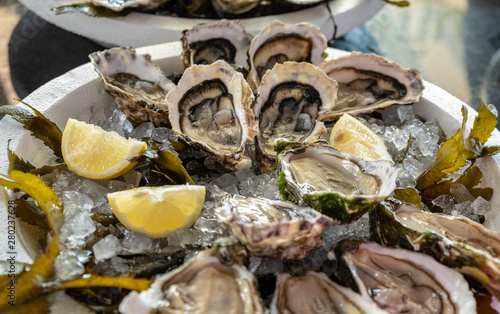 Fresh oyster with cut juicy lemon on a plate with ice in the restaurant. Wholesome and healthy seafood, Mediterranean cuisine. Restaurant delicacy. Serving dish with oysters. Lunch on an oyster farm.