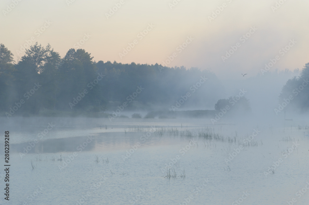 lake lake