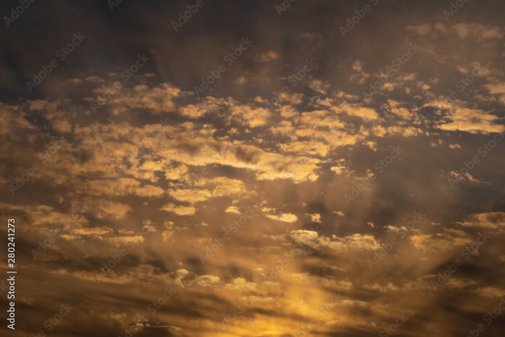 Obraz premium Kraniche am Abendhimmel