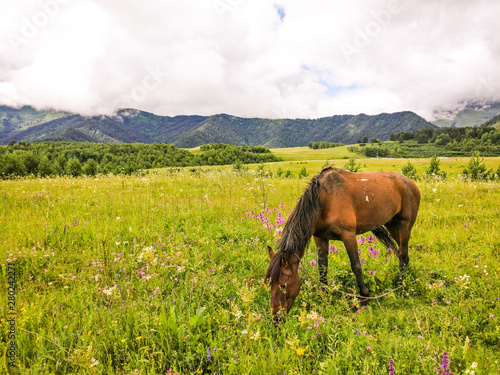 Tusheti National Park photo