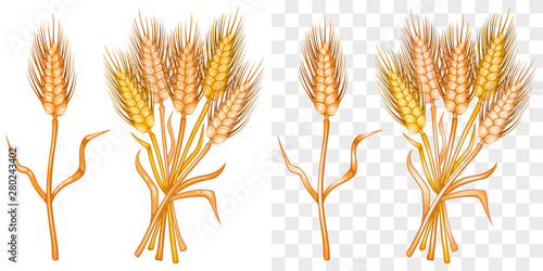 Golden dried whole grains