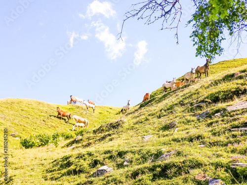 Tusheti National Park
