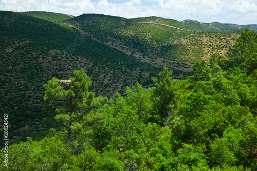 Habitat of Spanish imperial eagle (Aquila adalberti), Sierra Morena, Jaen, Andalucía, España